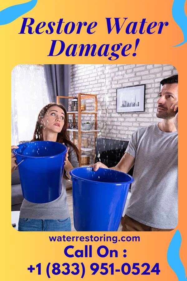 water restoration Expert Water Mitigation Team Woburn