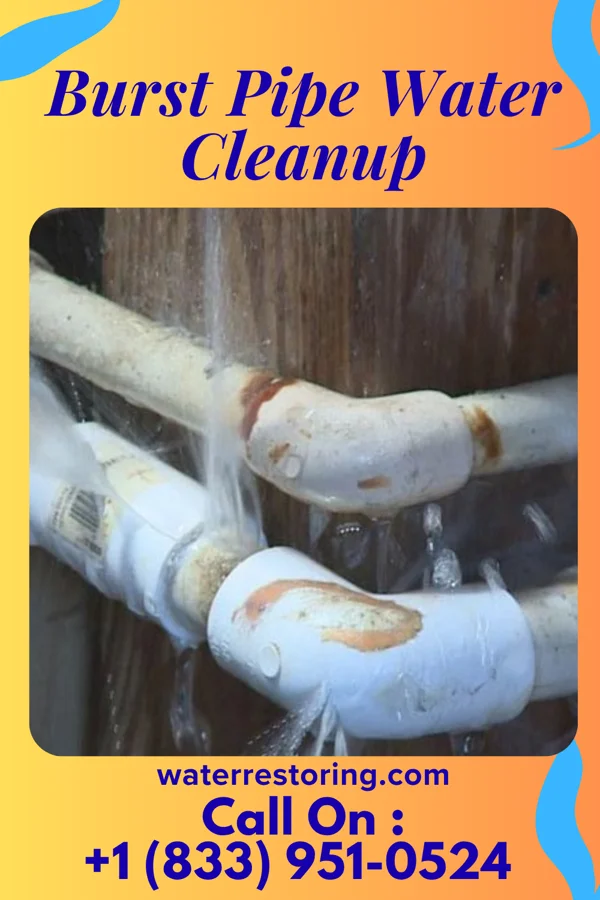 Burst Pipe Water Cleanup in Woburn, MA
