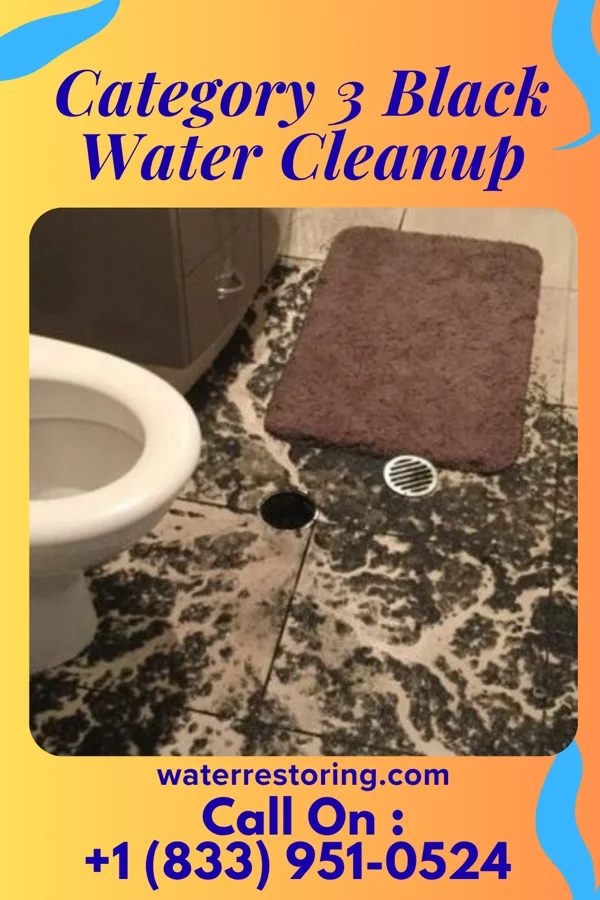 Category 3 Black Water Cleanup in Woburn, MA