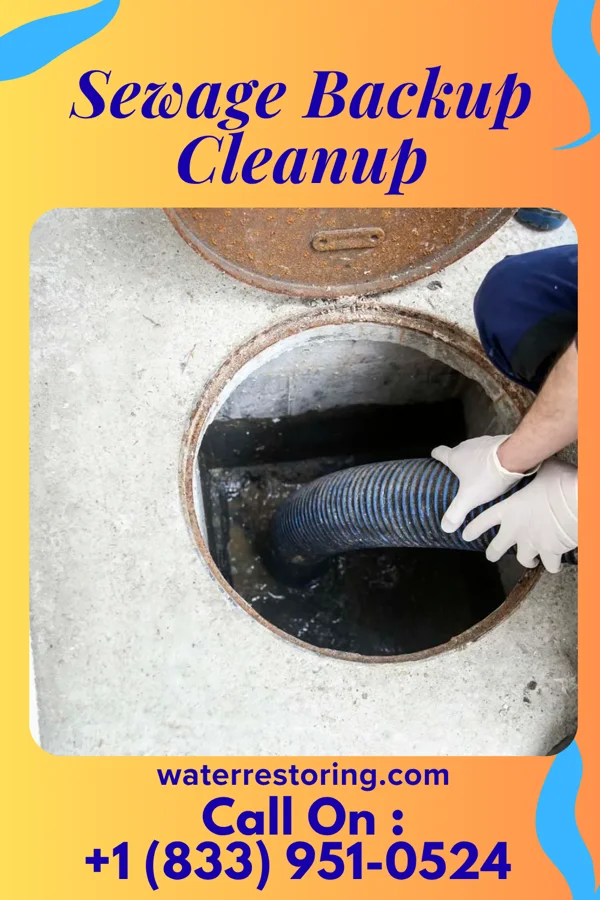 Sewage Backup Cleanup in Woburn, MA