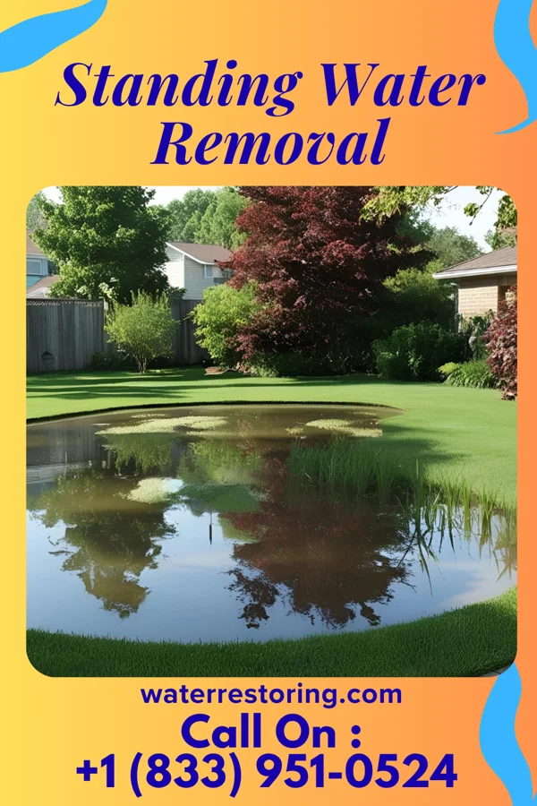 Standing Water Removal in Woburn, MA